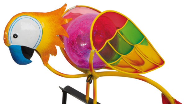 Aiapeenra kaunistus"Papagoi"