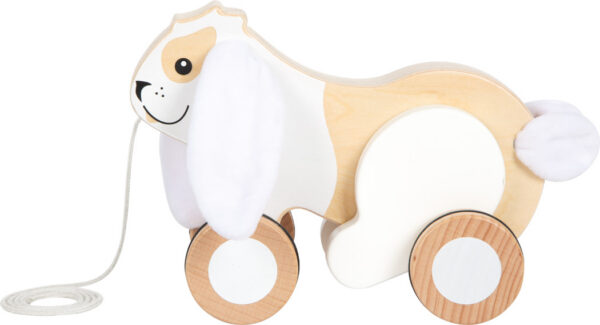 Järelveetav mängujänes