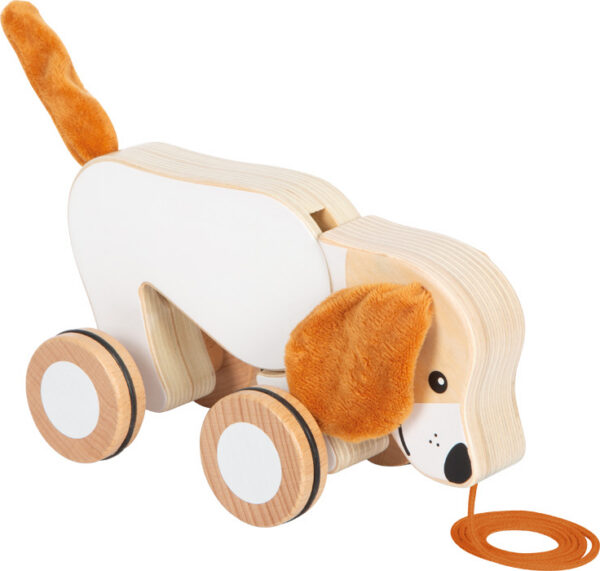 Järelveetav mängukoer